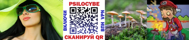 продажа наркотиков Муром Галлюциногенные грибы Psilocybine cubensis